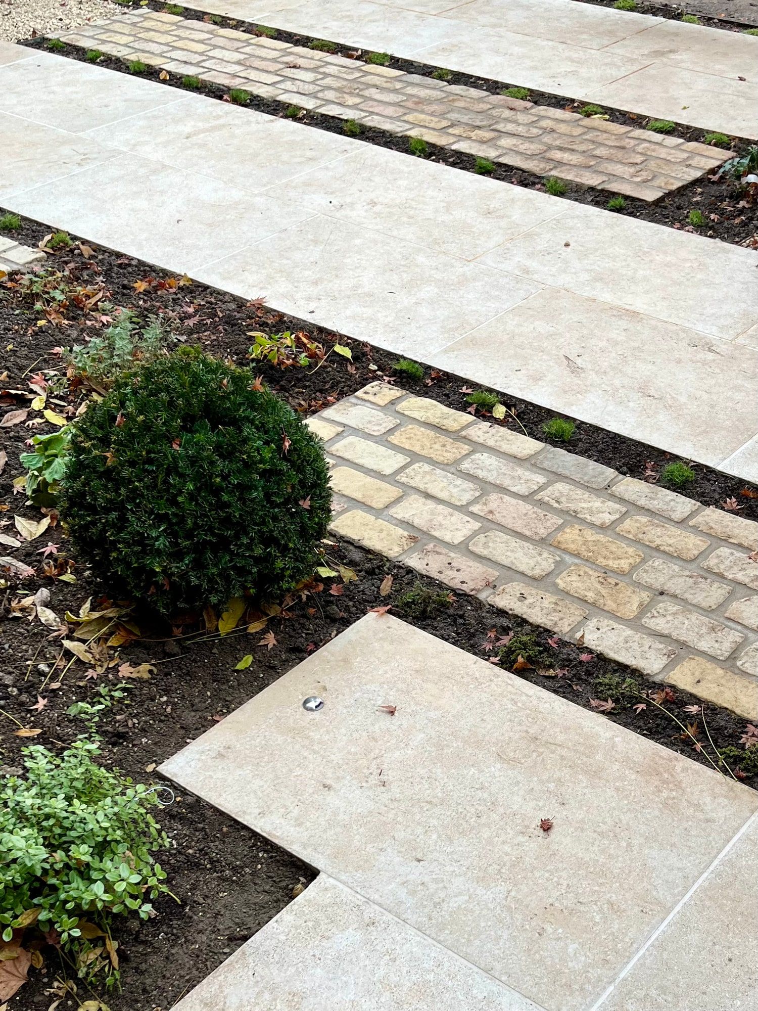Shirley garden by Your Gardens — photograph 2 of 5