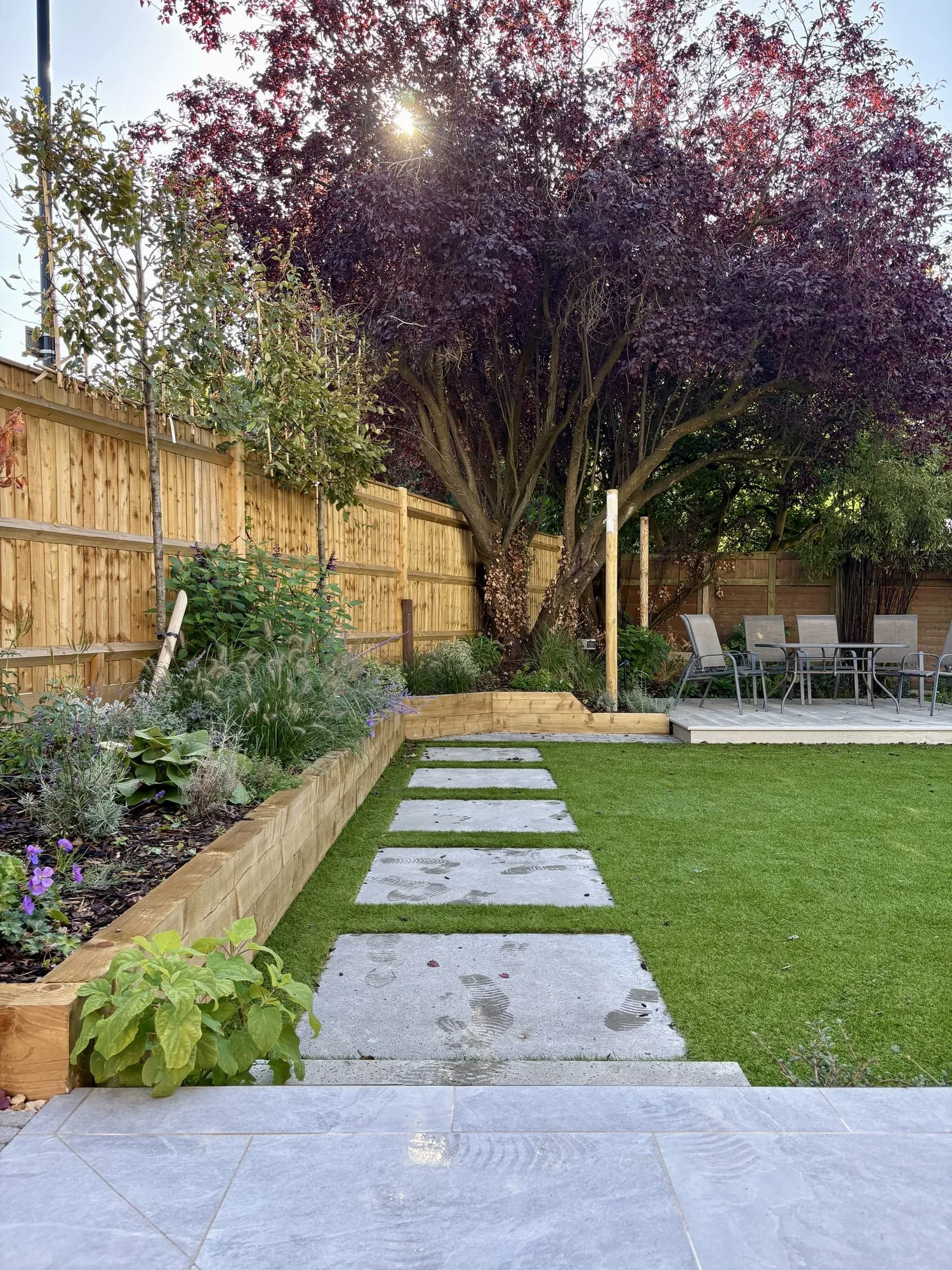 Stone stepping stones set into a lawn, with a purple acer and raised timber beds