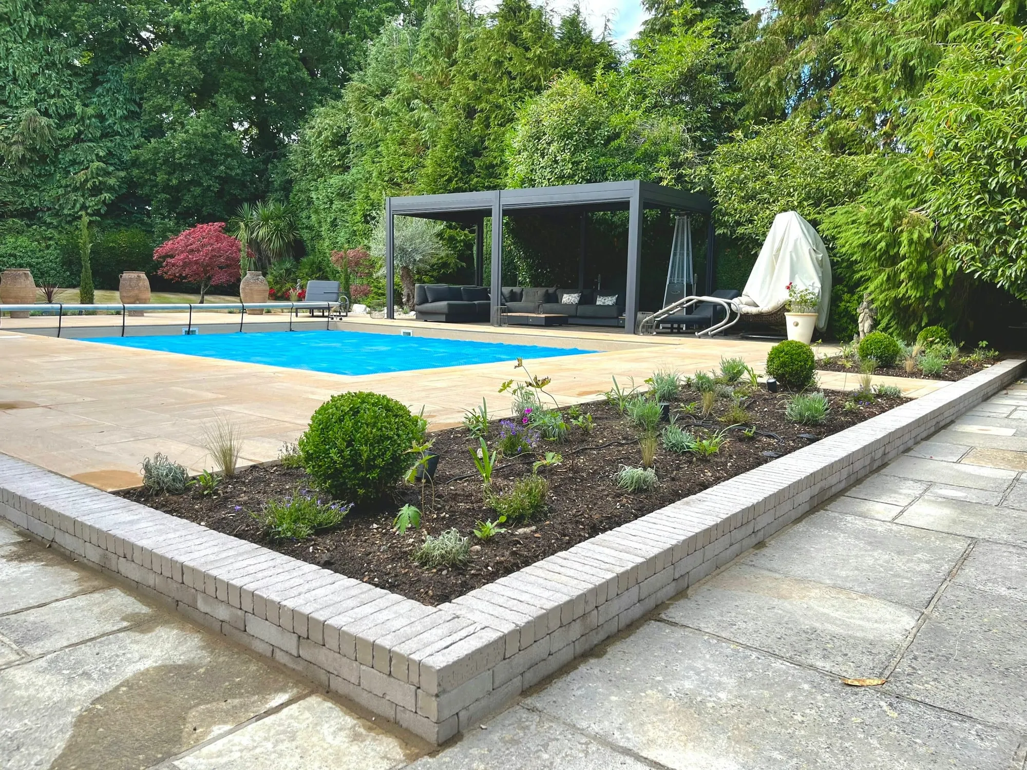 Swimming pool with an oak pergola, clipped box balls and mixed planting