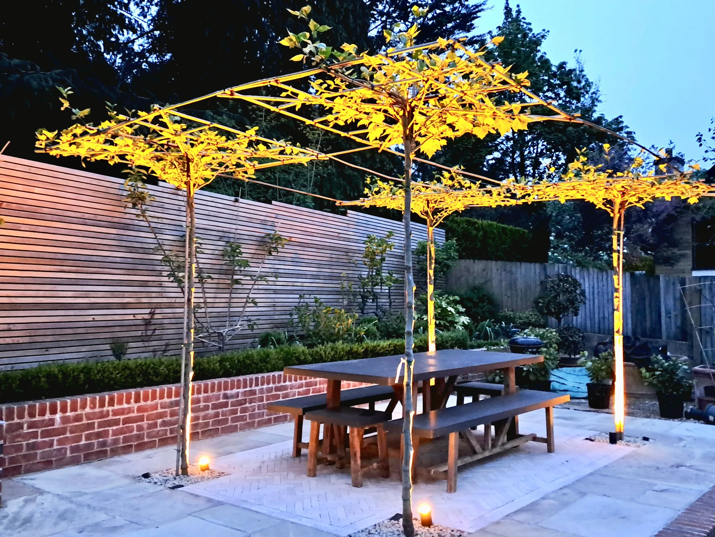 Kings Worthy garden by Your Gardens