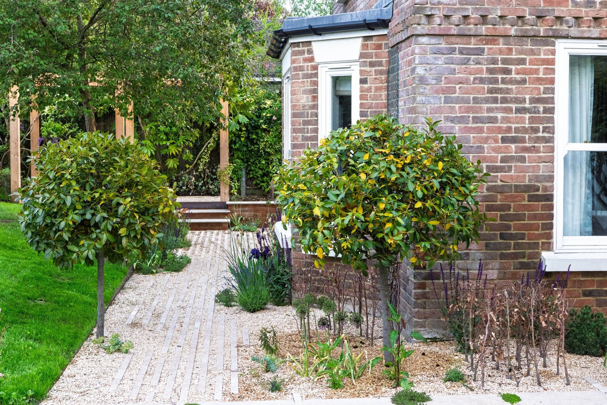 Upham garden by Your Gardens — photograph 5 of 5